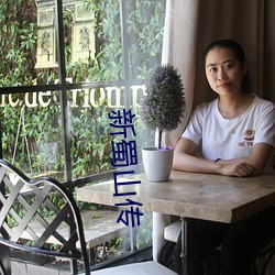新蜀山傳