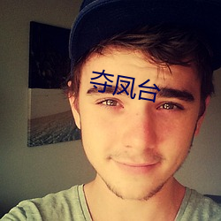夺(duó)凤台