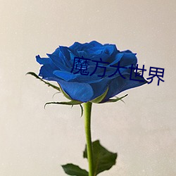 魔方大世界